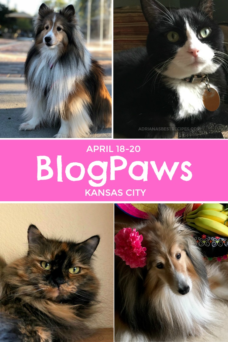 Joining Chewy and the BlogPaws fun in Kansas City next April 18-20