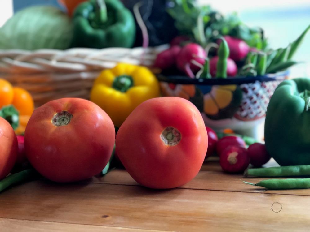 Nos encantan los tomates de la Florida