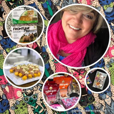 BlogPaws Adventures in Kansas City