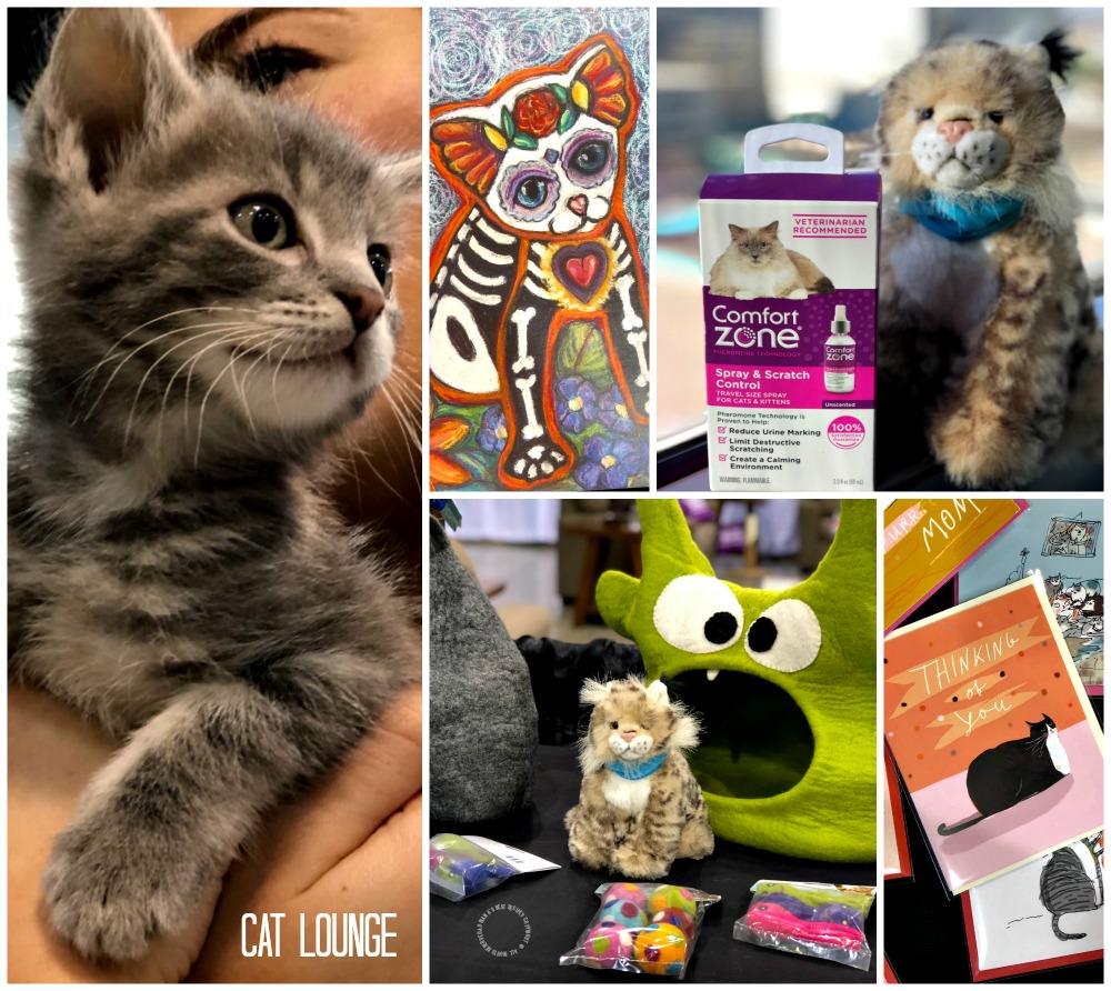 Cat Lounge en BlogPaws