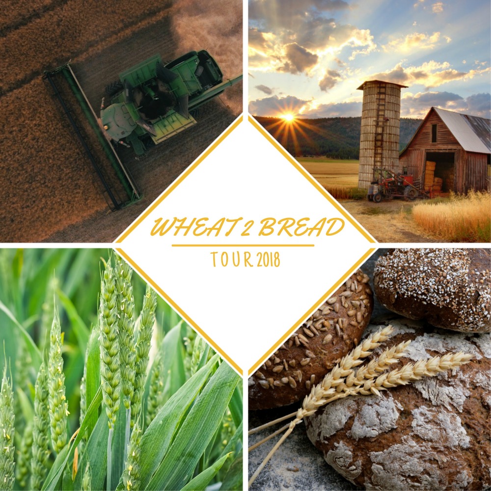 Wheat 2 Bread Tour la cosecha del trigo