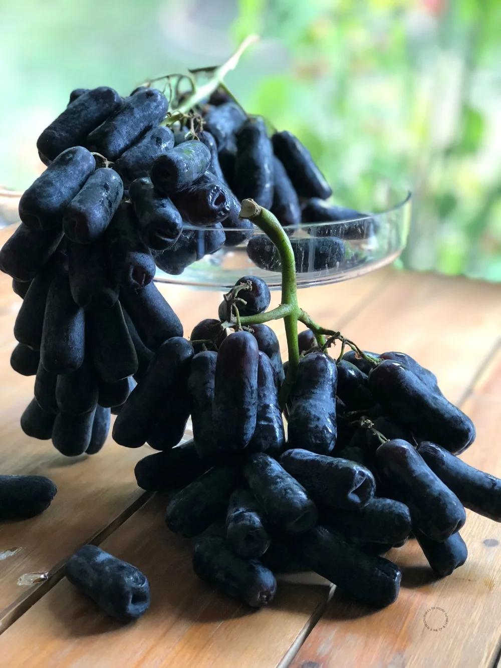 Moon Drop Grapes Moon Drop Grapes