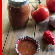 This Roasted Carolina Reaper Salsa recipe has beefsteak tomatoes and garlic
