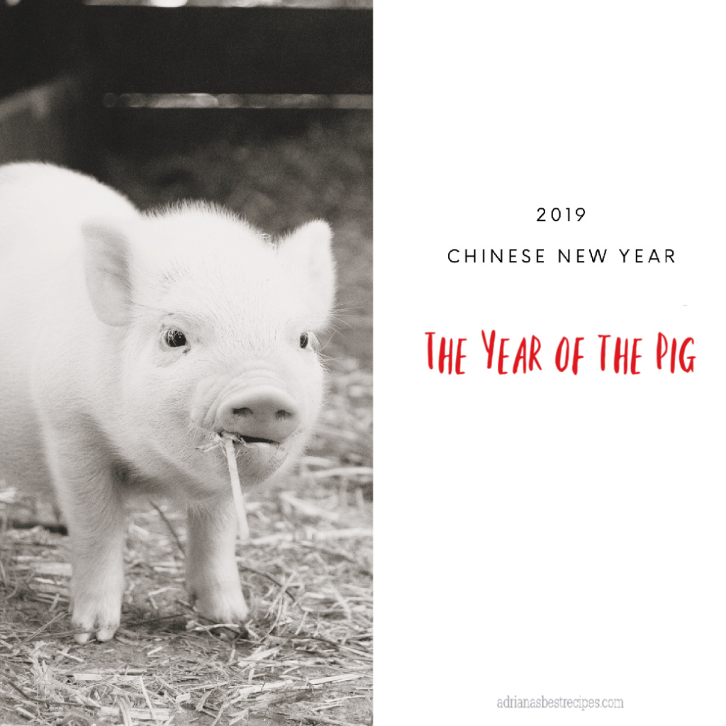 2019 Chinese New Year the Year of the Pig