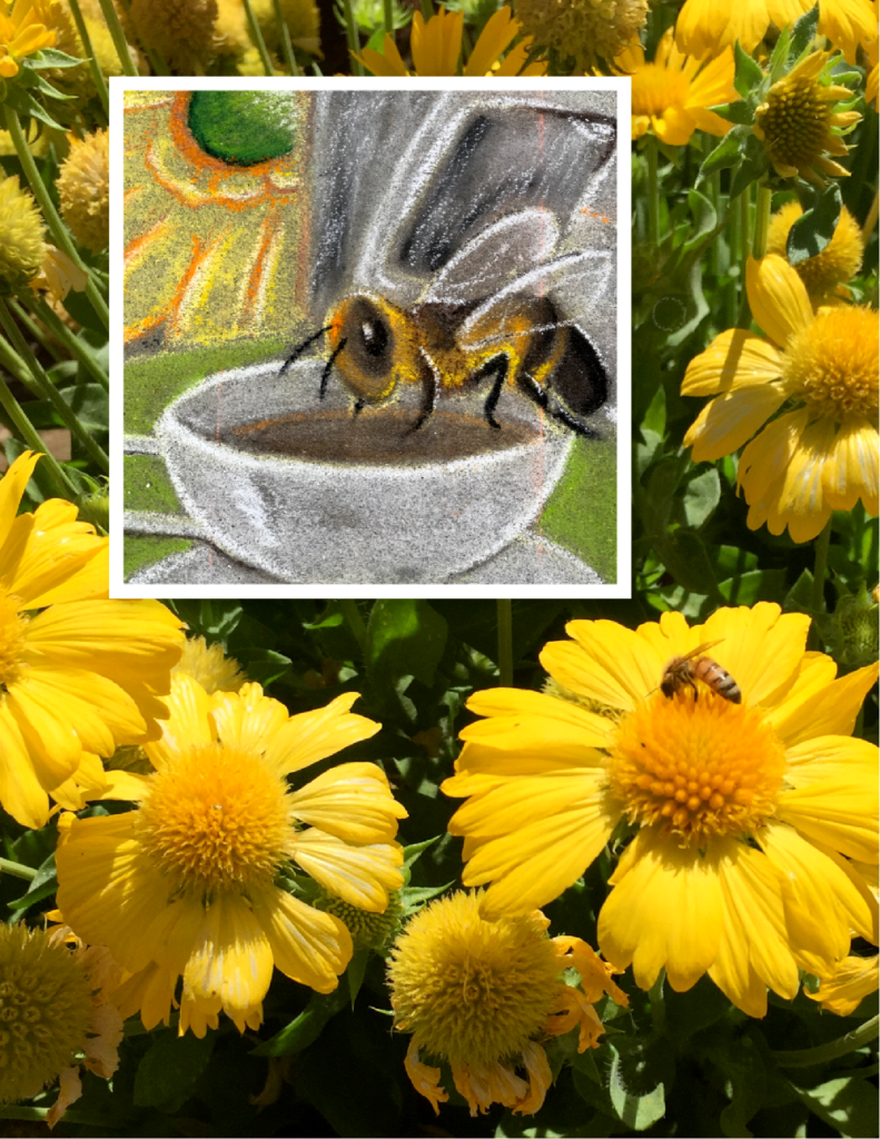 A group of yellow flowers is what bees get attracted to pollinate, and drink the nectar