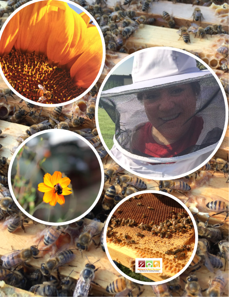 Las abejas están en peligro de extinción y es importante aprender sobre cómo conservarlas sembrando jardines polinizadores. En la foto Adriana Martin aprendiendo acerca de la apicultura. 