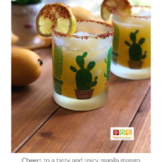 Cheers to a tasty and spicy manila mango mocktail or agua fresca! This beverage has fresh mangoes, yellow lemon, and a spicy note using a spicy Mexican condiment called chamoy. This agua fresca is reminiscing those favorite childhood flavors that bring us home when sipping something so familiar and refreshing.