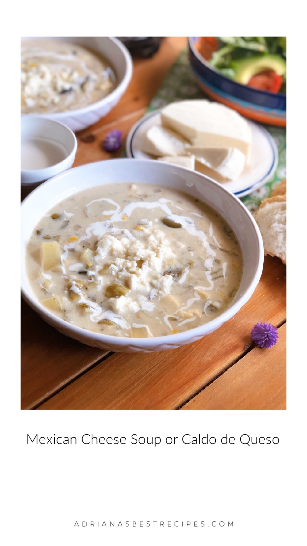 a bowl of creamy cheese soup