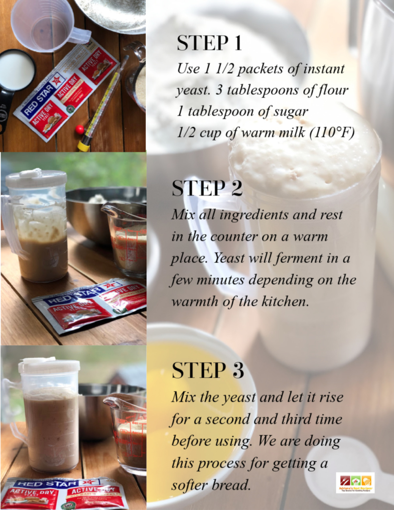 These are the step by step instructions on how to ferment the yeast