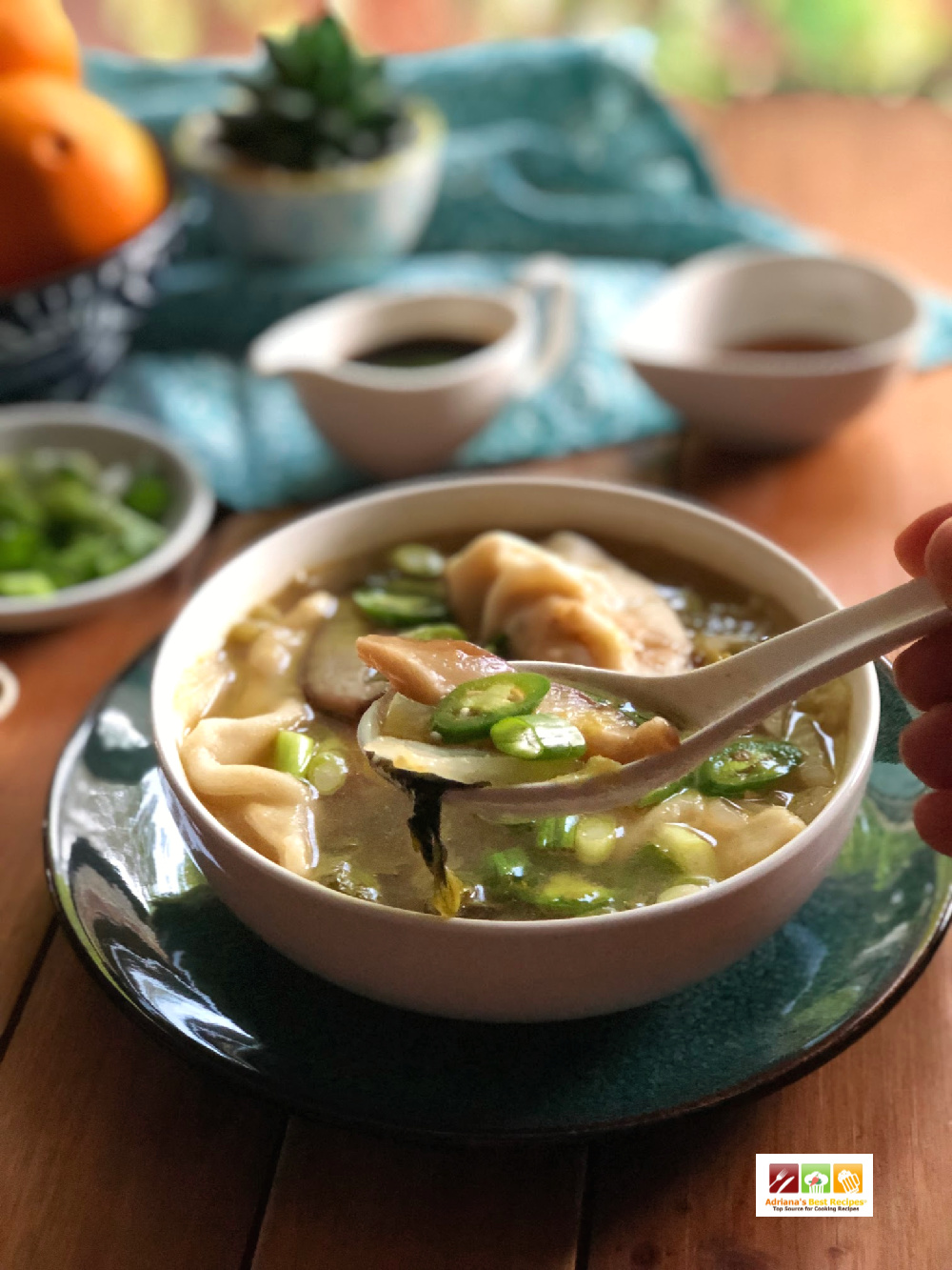 Chicken Potsticker Soup for the Instant Pot Adriana's Best Recipes