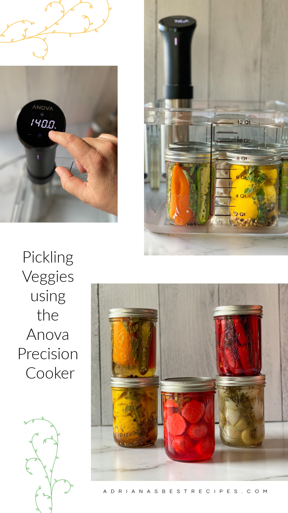 a collage of images showing how to use the Anova Precision Cooker