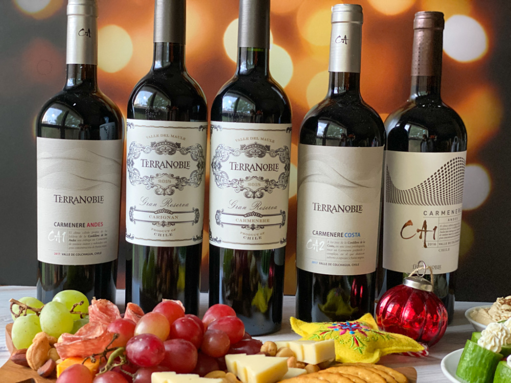 Five bottles of TerraNoble red wines from Chile