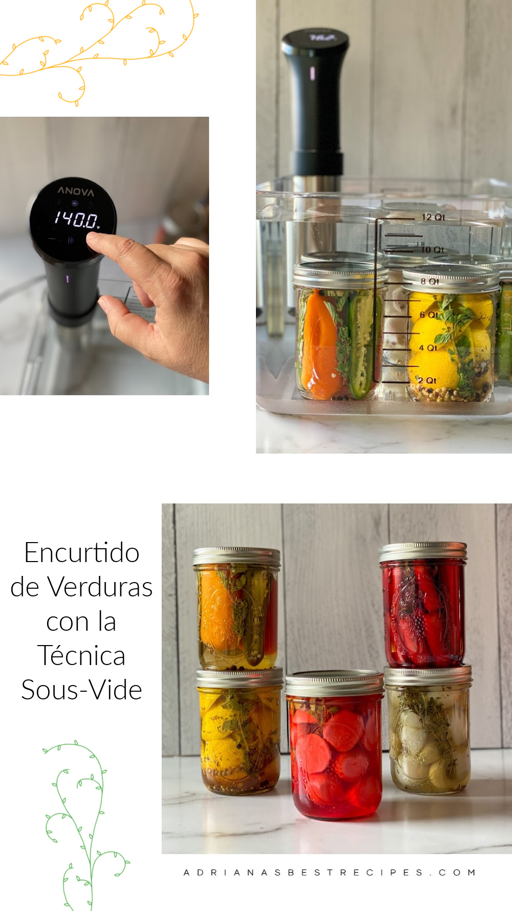 Encurtido de Verduras con la Técnica Sous-Vide