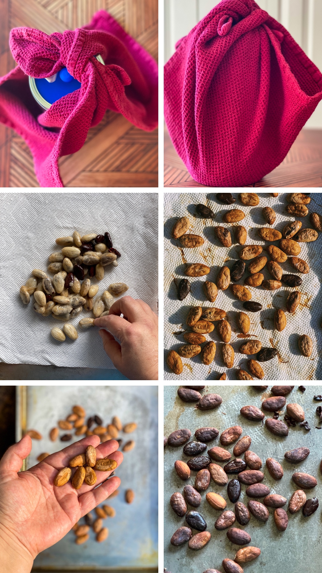 A collage showing how to process cacao