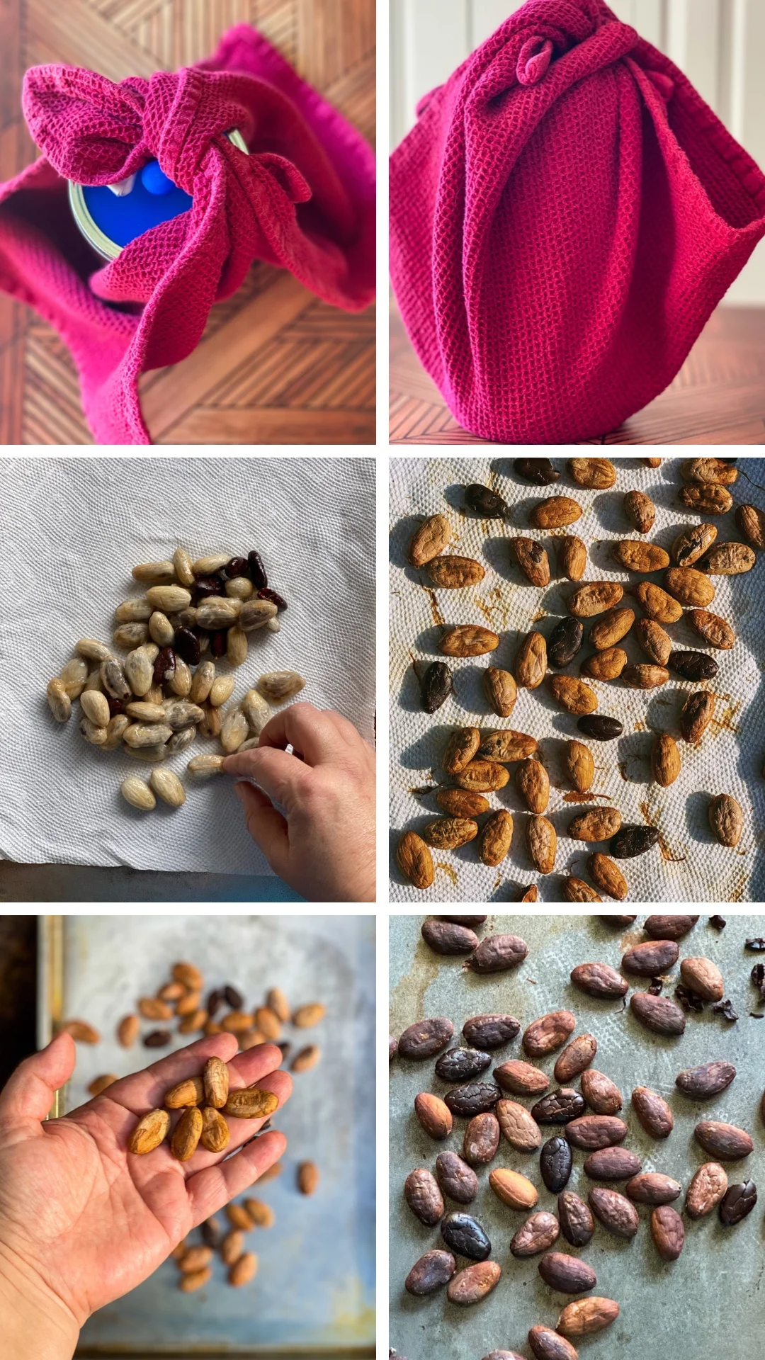 Un collage que muestra cómo procesar el cacao.