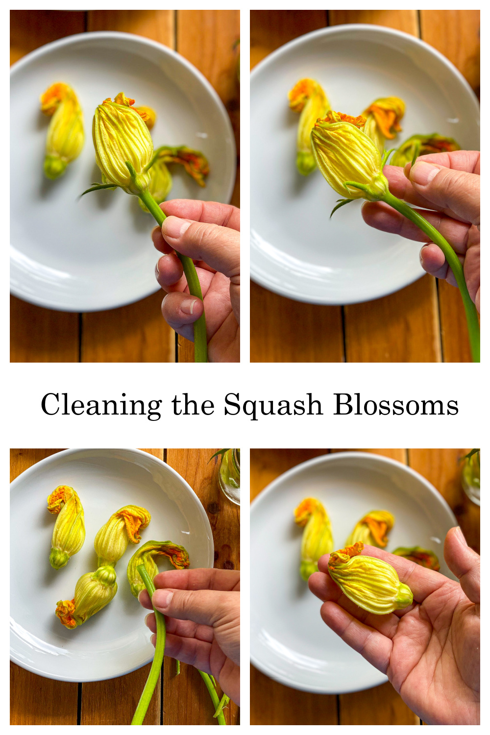 a collage showing how to clean the zucchini flowers 